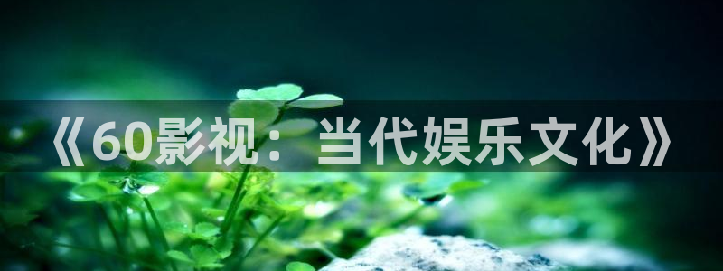 6080新视觉电影理论电视剧在线观看美：《60影视：当代娱乐文化》