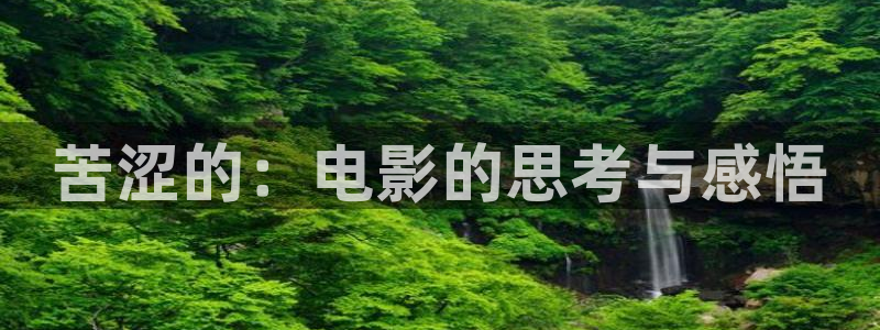 新视觉好吗：苦涩的：电影的思考与感悟