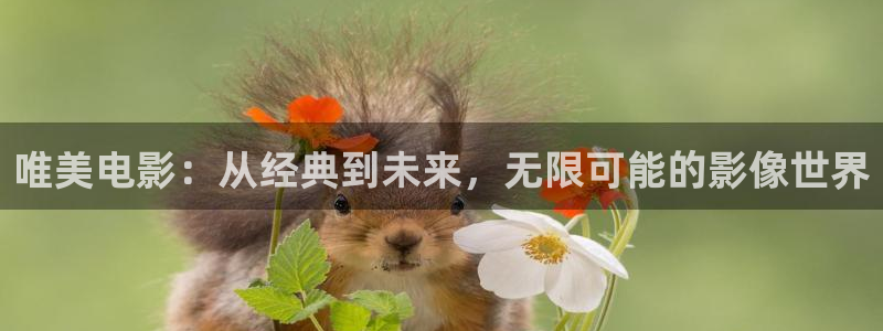 6080新视觉在线看片：唯美电影：从经典到未来，无限可能的影像世界