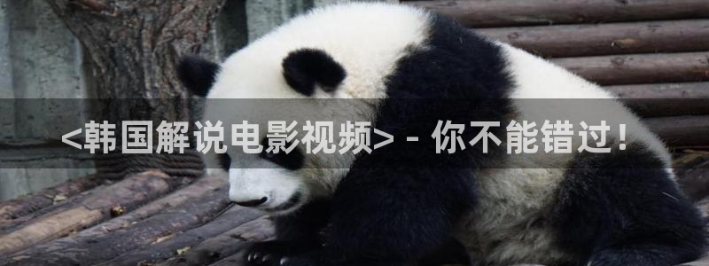 新视觉电视剧官网长津湖：<韩国解说电影视频> - 你不能错过！