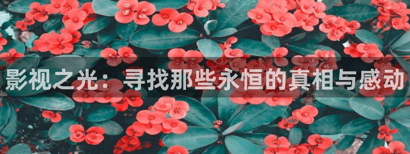 新视觉影院秋霞影院：影视之光：寻找那些永恒的真相与感动