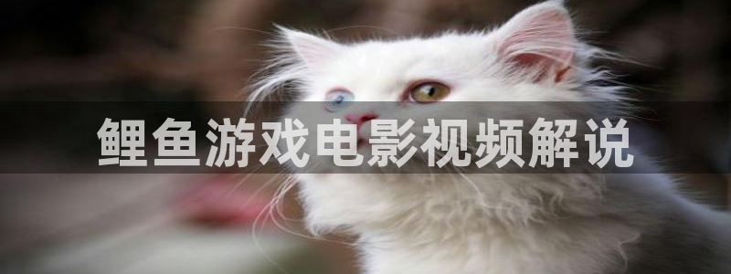 6080新视觉影院神马影院：鲤鱼游戏电影视频解说
